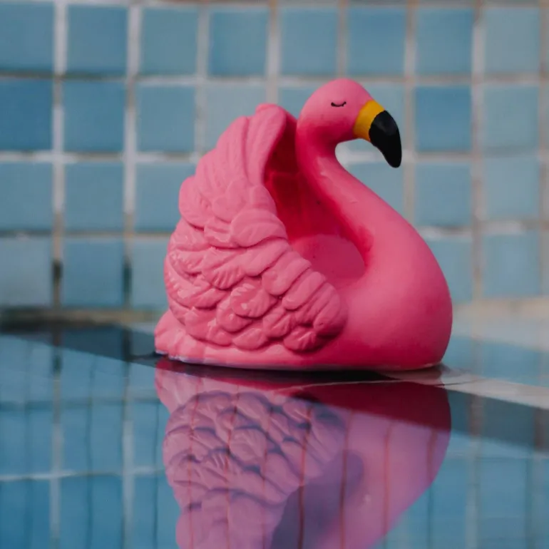 Bidedyr | Flamingo