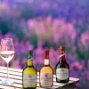 Hvidvin, Cellier des Dauphins - Prestige Mediterranée IGP 25 cl (Frankrig)