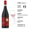Rødvin, Cantina Castelnuovo del Garda - Valpolicella Ripasso (Italien)