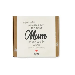 Stor gaveæske 'Blossombs for the best Mum in the whole world', Blossombs