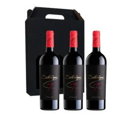 Vingave 3 fl. rødvin, Orion - Sette Vigne (Italien)