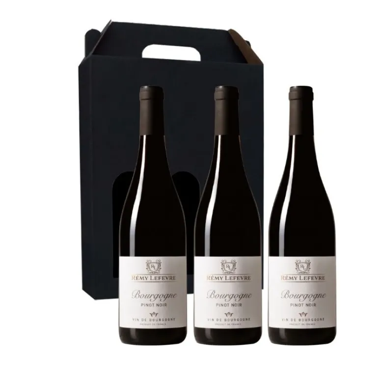 Vingave 3 fl. rødvin, Rémy Lefevre - Bourgogne Pinot Noir (Frankrig)