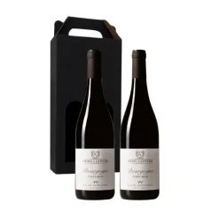 Vingave 2 fl. rødvin, Rémy Lefevre - Bourgogne Pinot Noir (Frankrig)