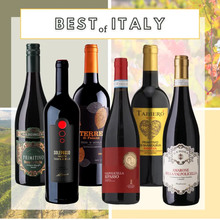 Vin smagekasse - Best of Italy