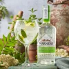Warner's Elderflower Gin, 5 cl