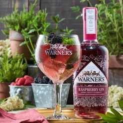 Warner's Raspberry Gin, 5 cl