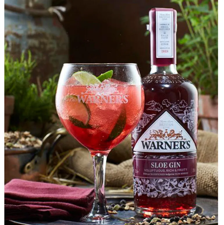 Warner's Sloe Gin, 5 cl