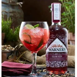 Warner's Sloe Gin, 70 cl